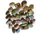 PROMOTIONAL PRICE TUMBLED STONES: 1 kilo Unakite from West Virginia, U.S.A.