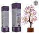 Tree of Life Amethyst (Intelligence) with 300 gemstones in beautiful gift packaging.